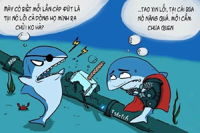 cá mập cắn đứt cáp quang