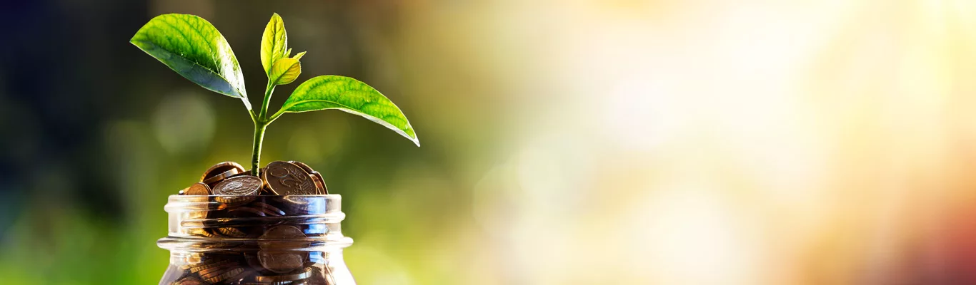 Máy photocopy Ricoh MP 5055