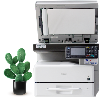 ricoh 301