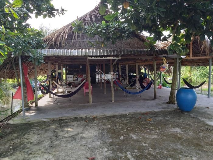 Quán cafe võng gần đây tại Quận 7