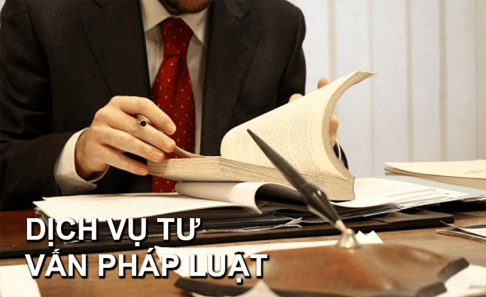 tổng hợp công ty luật tphcm