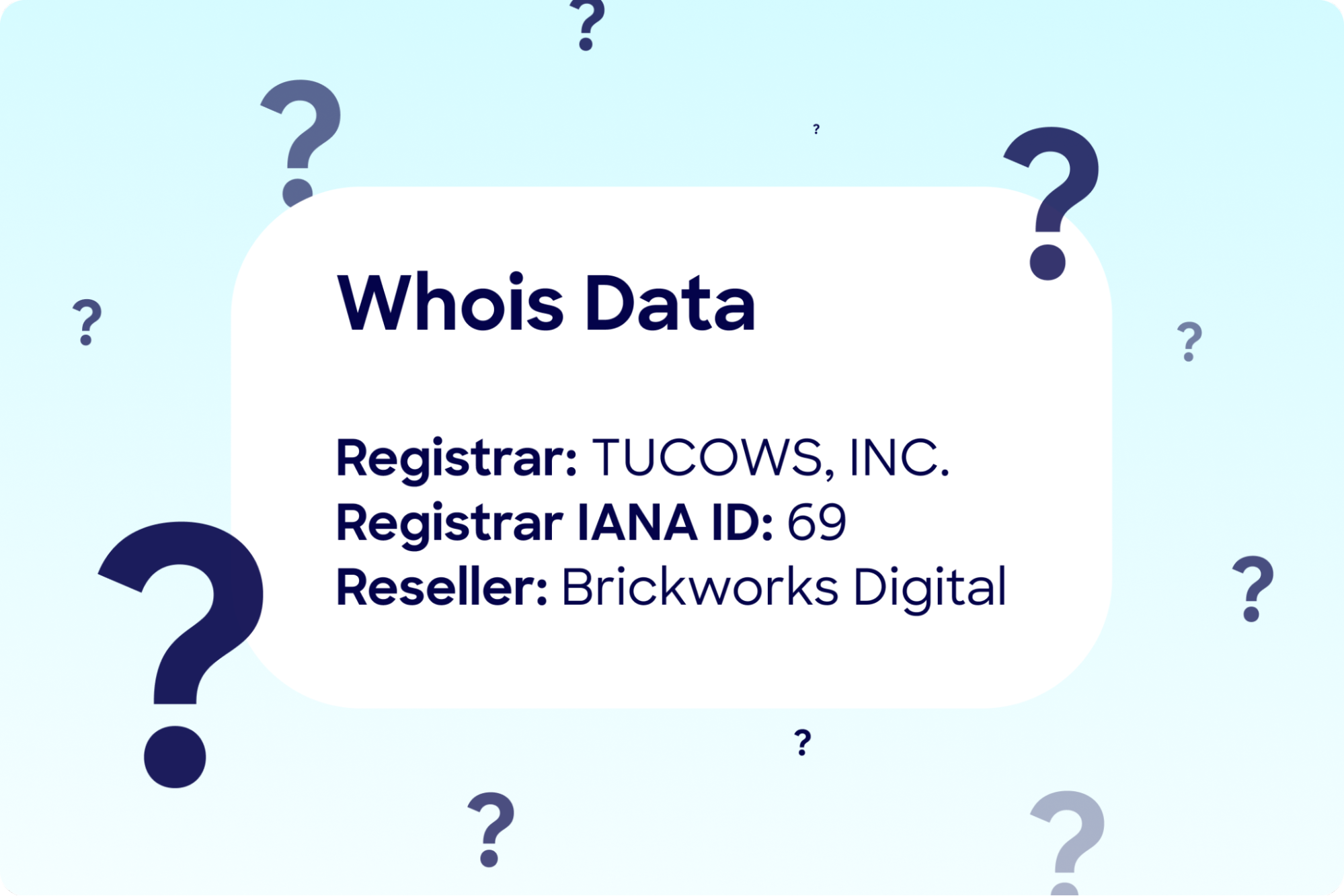 whois domain​