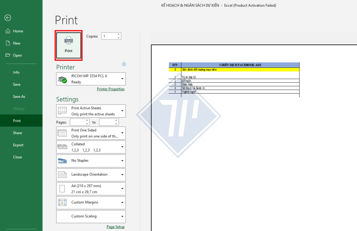 in vùng chọn trong excel​