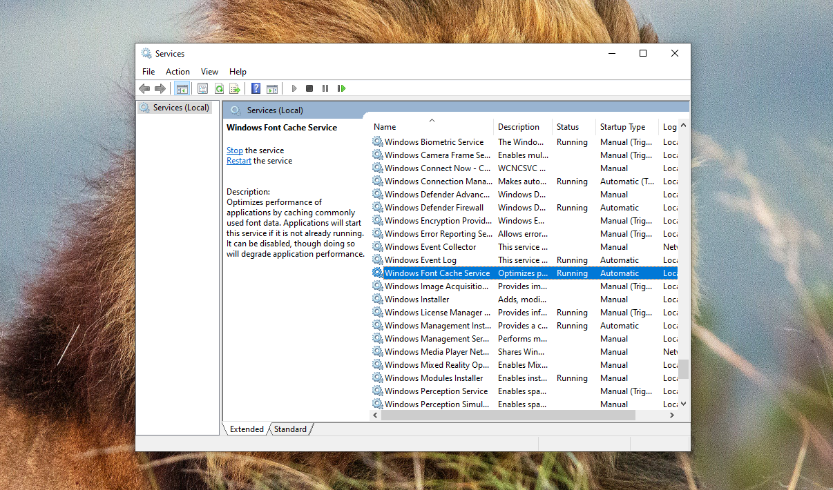 cách sửa lỗi phông chữ trong word 2016​